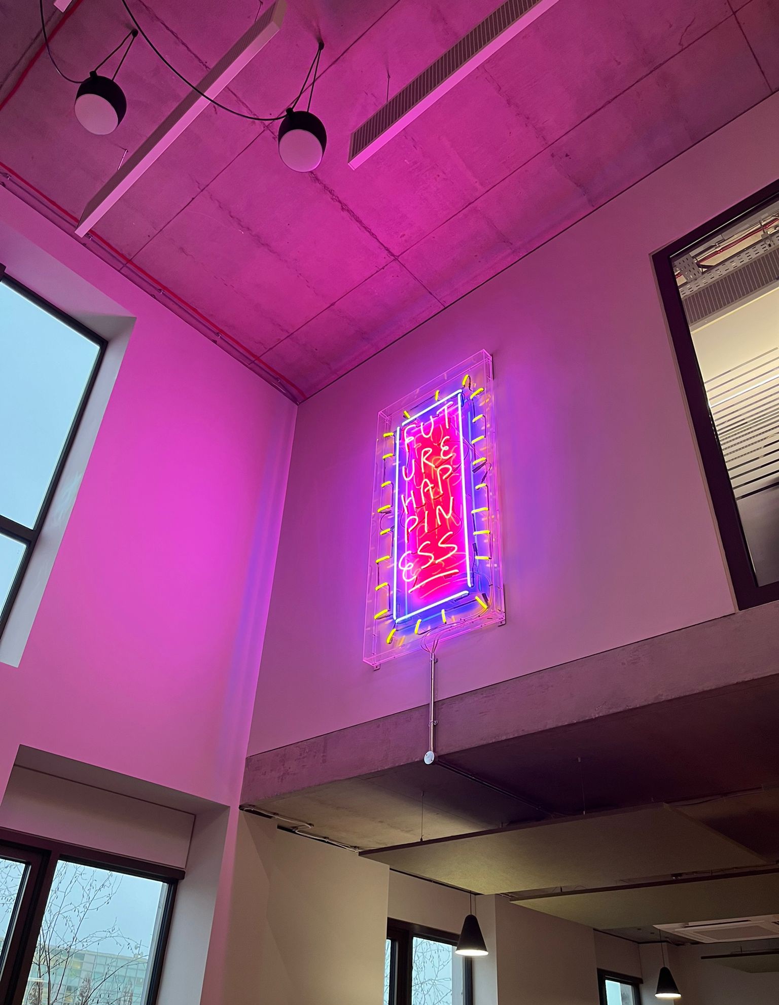 Neon sign in Perspex case